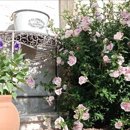 Apartment Chez Sophie Serbannes