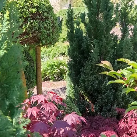 Chez Sophie * Serbannes