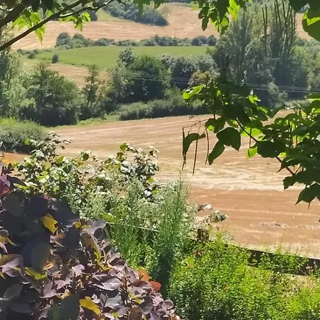 Apartment Chez Sophie Serbannes